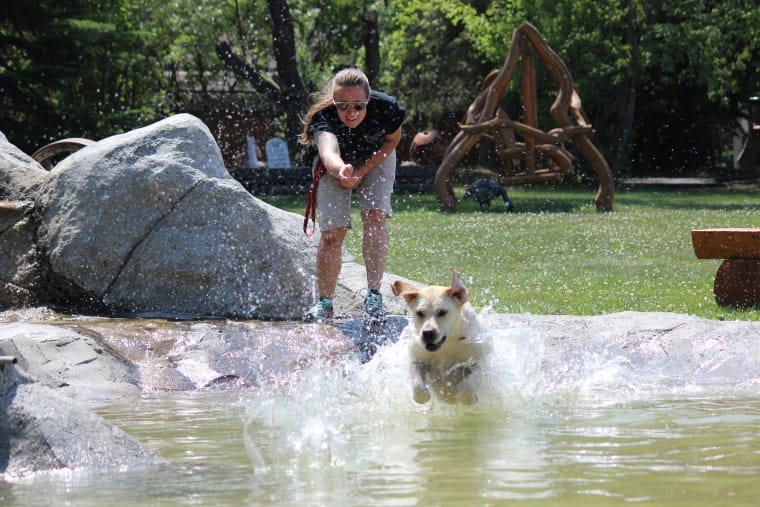 dog water park